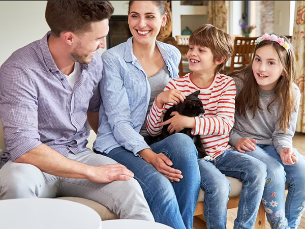 Family Law Services